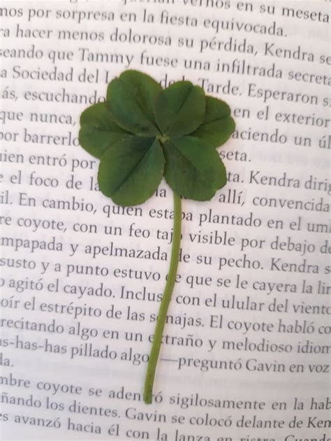 trebol bet|trebol de 6 hojas.